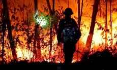 Sẽ khởi tố vụ cháy rừng ở Nghệ An nếu có sai phạm