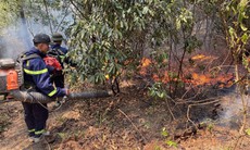 Đã khống chế 2 vụ cháy rừng ở Nghệ An