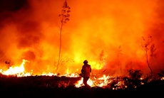 Nắng nóng tiếp tục xảy ra ở nhiều nơi, Thủ tướng chỉ đạo khẩn phòng, chống cháy rừng