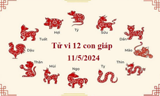 Tử vi 12 con giáp hôm nay 11/5: Tuất thuận lợi, Hợi thành công