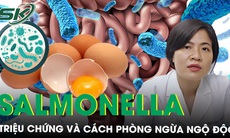 Ngộ độc thực phẩm do Salmonella: Triệu chứng và cách phòng ngừa