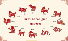 Tử vi 12 con giáp hôm nay 20/5: Tý thuận lợi, Hợi gặp may