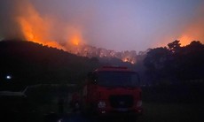 Xử lý nghiêm đối tượng gây ra vụ cháy rừng tại 2 huyện ở Nghệ An
