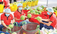 Tin cực vui cho xuất khẩu nông sản của Việt Nam
