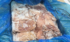 Phát hiện gần 12 tấn dạ dày lợn đông lạnh có dấu hiệu nhập lậu trong khu công nghiệp