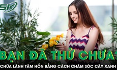 PODCAST: Chăm sóc cây xanh giúp chữa lành tâm hồn sau một ngày dài mệt mỏi, bạn đã thử chưa?