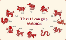 Tử vi 12 con giáp hôm nay 25/5: Tuất biến động, Ngọ như ý