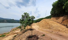 Ngang nhiên ủi đất mở đường, hồ thuỷ lợi Khe Ngang bị đe doạ