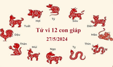 Tử vi 12 con giáp hôm nay 27/5: Tỵ tài vận hanh thông, Ngọ thăng trầm bất ổn