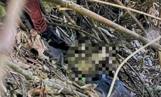 Phát hiện thi thể nghi của kẻ giết 'vợ hờ' rồi bỏ trốn vào rừng
