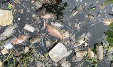 Sau mưa, kênh rạch ở TPHCM ngập rác