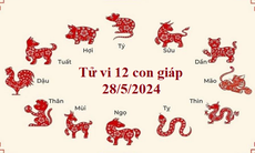 Tử vi 12 con giáp hôm nay 28/5: Sửu hanh thông suôn sẻ, Mùi đào hoa vượng sắc