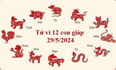 Tử vi 12 con giáp hôm nay 29/5: Tý suôn sẻ, Tuất vượng phát