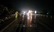 Ô tô đâm tử vong người đi bộ trên cao tốc Nội Bài - Lào Cai