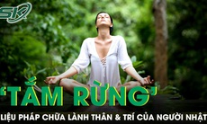 PODCAST: ‘Tắm rừng’ - liệu pháp chữa lành thân và trí của người Nhật