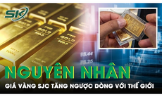 Nghịch lý NHNN đấu thầu vàng tăng cung nhưng giá vàng SJC vẫn tăng lập kỷ lục mới 