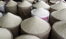 Giá gạo xuất khẩu tăng trở lại