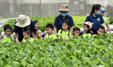 Trẻ thành thị háo hức làm nông dân trồng rau thủy canh