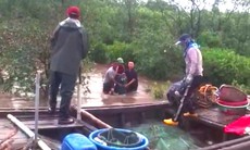 Đánh bắt thủy sản giữa mưa dông, một ngư dân Quảng Ninh bị sét đánh tử vong