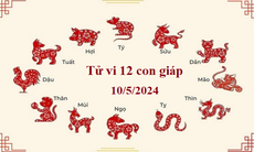 Tử vi 12 con giáp hôm nay 10/5: Ngọ hiếu thắng, Tý căng thẳng