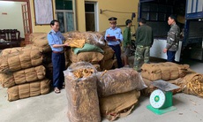 Lạng Sơn: Tạm giữ gần 15 tấn nguyên liệu thuốc lá không rõ nguồn gốc xuất xứ