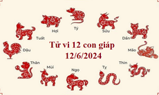 Tử vi 12 con giáp hôm nay 12/6: Thìn kinh doanh suôn sẻ, Ngọ tiền tài nở rộ