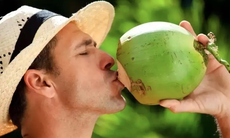 Lý do bạn nên uống nước dừa khi nắng nóng