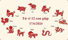 Tử vi 12 con giáp hôm nay 17/6: Dậu tham vọng, Mão công việc thuận lợi