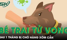 Tử vong sau 1 tháng bị chó nhà hàng xóm cắn nhưng chủ quan không tiêm phòng dại 