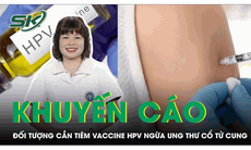 Vaccine HPV ngừa ung thư cổ tử cung được khuyến cáo tiêm cho đối tượng nào? 