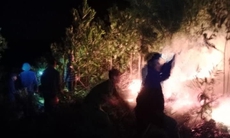 Hàng trăm người nỗ lực khống chế cháy rừng trong đêm