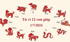 Tử vi 12 con giáp hôm nay 1/7/2024: Hợi ảm đạm, Dậu may mắn tài chính