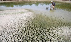 Ngày Môi trường thế giới 2024: Phục hồi đất, chống hạn hán và sa mạc hóa