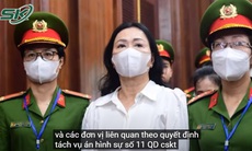 Bà Trương Mỹ Lan bị đề nghị truy tố thêm tội danh trong vụ án Vạn Thịnh Phát