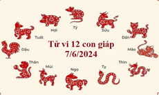 Tử vi 12 con giáp hôm nay 7/6: Dậu công việc thuận lợi, Mão may mắn tiền tài