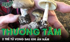 Thương tâm 7 bà cháu ngộ độc do ăn nấm rừng, 2 cháu nhỏ tử vong