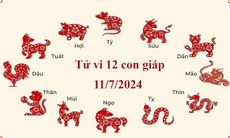 Tử vi 12 con giáp hôm nay 11/7/2024: Mão vất vả, Thân thuận lợi