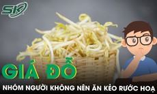 Giá đỗ bổ dưỡng nhưng nhóm người sau đây không nên ăn kẻo rước hoạ