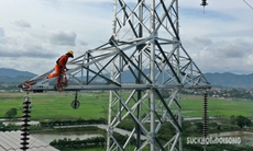 ‘Người nhện’ treo mình giữa không trung kéo đường dây 500kV mạch 3