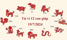 Tử vi 12 con giáp hôm nay 19/7/2024: Tý thuận lợi, Hợi có tin vui