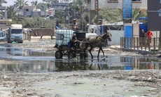 Phát hiện virus bại liệt trong nước thải ở Gaza