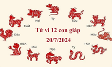 Tử vi 12 con giáp hôm nay 20/7/2024: Dậu thuận lợi, Hợi suôn sẻ