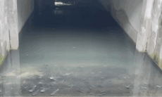 Bất ngờ cá bơi 'tung tăng' dưới hầm biệt thự chục tỷ ở Hà Nội