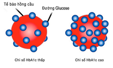 HbA1c là gì? Vì sao người tiểu đường cần quan tâm đến xét nghiệm HbA1c?