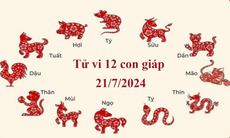 Tử vi 12 con giáp hôm nay 21/7/2024: Ngọ may mắn, Tý nhiều niềm vui