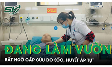 Đang làm vườn người đàn ông bất ngờ nhập viện cấp cứu trong tình trạng sốc, huyết áp tụt