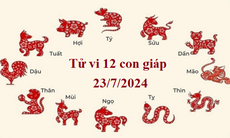 Tử vi 12 con giáp hôm nay 23/7/2024: Thân ảm đạm, Hợi gặp may
