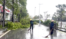 Bão số 2 vào Quảng Ninh, nhiều cây xanh bật gốc, gãy đổ