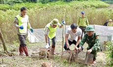 Thả 36 cá thể động vật hoang dã quý hiếm về môi trường tự nhiên