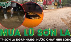 Sơn La mưa lớn trong đêm, lũ lên gây ngập nặng, nước chảy như sông